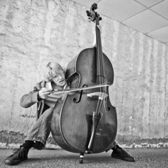 PEI Lab: Autumn LIPS